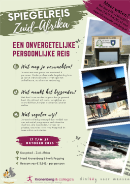 Spiegelreis